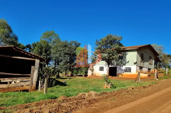 CHÁCARA COM 5 HECTARES PRÓXIMO A PATO BRANCO - Foto 14