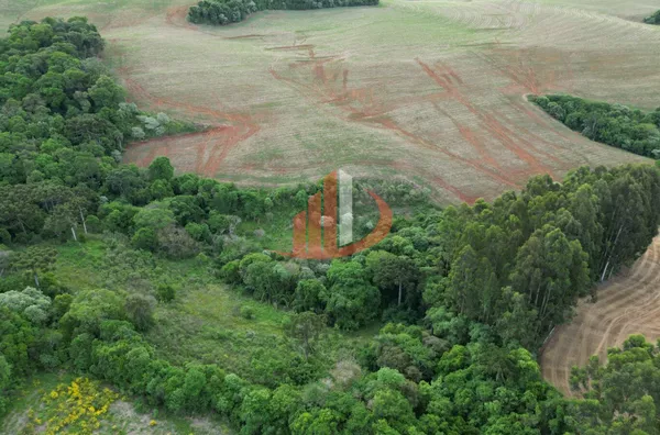 CHÁCARA COM 5 ALQUEIRES EM VITORINO/PR - Foto 5