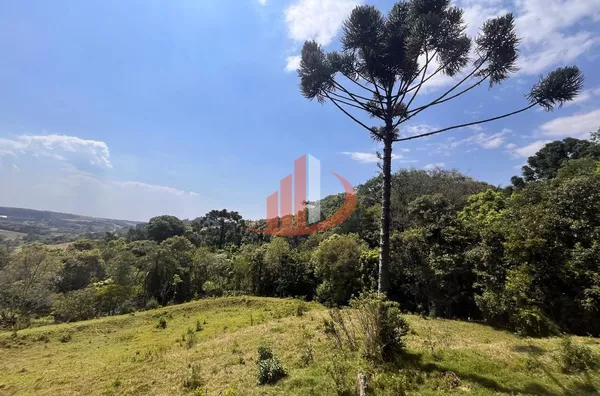 CHÁCARA COM 2,5 ALQUEIRES À VENDA EM VITORINO/PR - Foto 16
