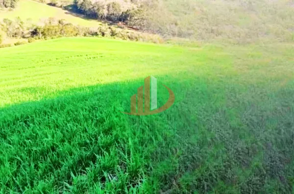VENDE-SE PROPRIEDADE RURAL Á 18KM DA CIDADE DE PATO BRANCO! - Foto 8