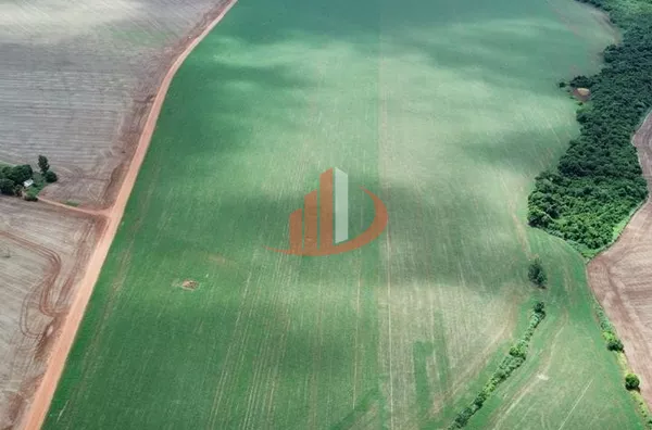 FAZENDA COM 860 HECTARES EM MATO GROSSO DO SUL - Foto 10