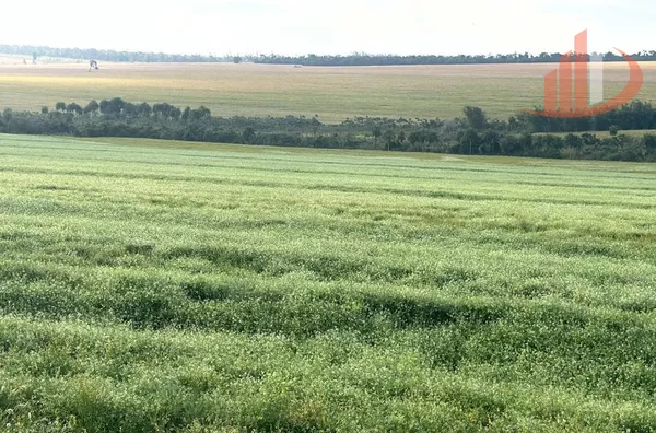 FAZENDA À VENDA EM DOURADOS/MS