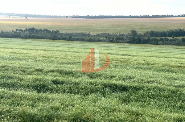 FAZENDA À VENDA EM DOURADOS/MS