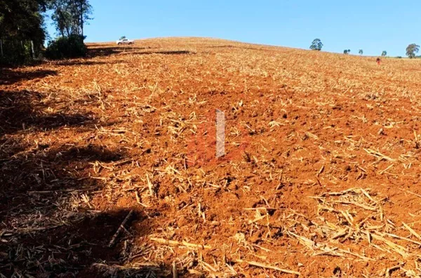 VENDE-SE UMA BELÍSSIMA ÁREA DE TERRA EM NOVA LARANJEIRAS! - Foto 11