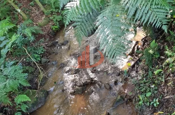 CHACARA PARA VENDA EM PATO BRANCO - Foto 14