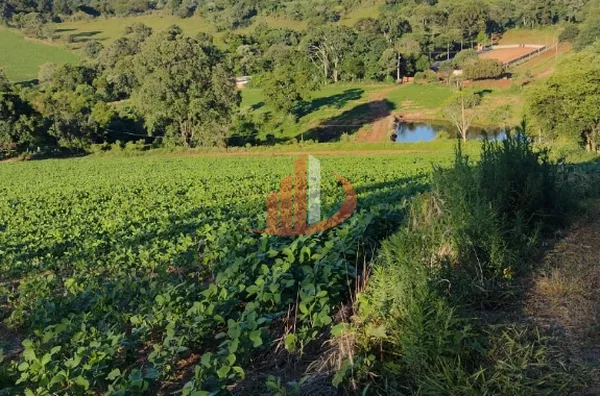 ÁREA DE TERRA COM 27 ALQUEIRES PARA INVESTIDORES OU EMPREENDIMENTOS - Foto 3