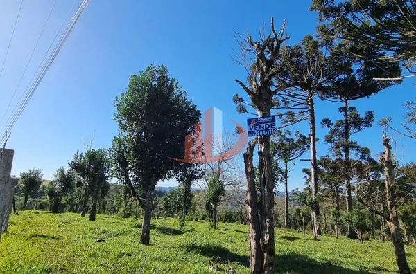 CHÁCARA COM 5 HECTARES PRÓXIMO A PATO BRANCO - Foto 25