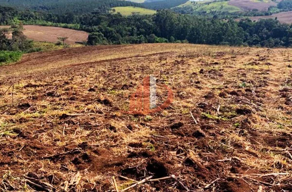 VENDE-SE UMA BELÍSSIMA ÁREA DE TERRA EM NOVA LARANJEIRAS! - Foto 8