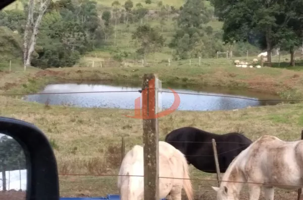 VENDE-SE FAZENDA A 13KM DA CIDADE DE GUARANIAÇU! - Foto 33