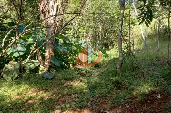 CHÁCARA COM 2,5 ALQUEIRES À VENDA EM VITORINO/PR - Foto 44