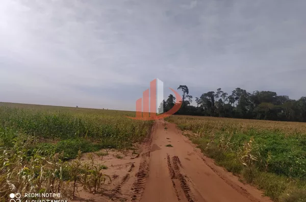 FAZENDO PARA VENDA EM ELDORADO/MS