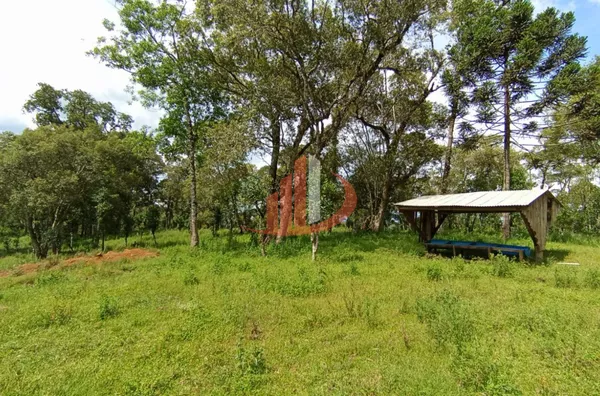 FAZENDA COM 205 HECTARES, REGIÃO DO HORIZONTE, SUDOESTE DO PARANÁ - Foto 6