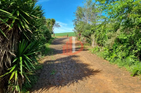 CHÁCARA COM 20 MIL m² Á VENDA EM PATO BRANCO/PR - Foto 25