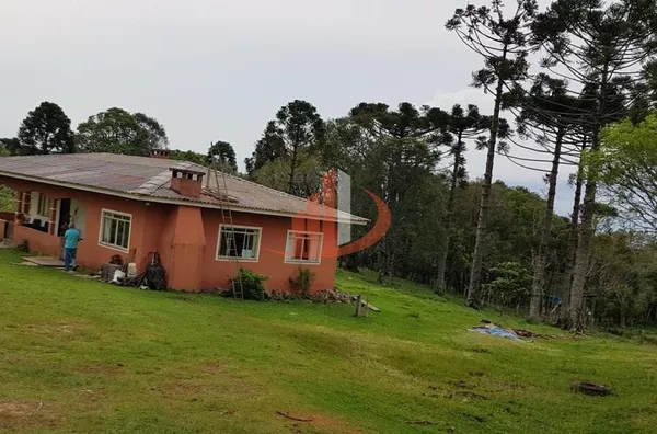 FAZENDA COM 203,5 ALQUEIRES À VENDA NO SUDOESTE DO PARANÁ. - Foto 9