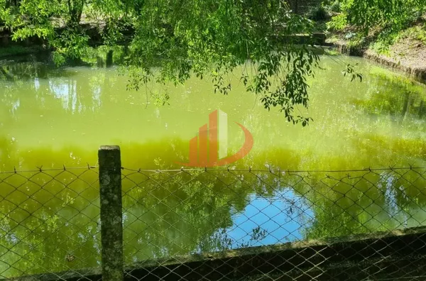 CHÁCARA PARA VENDA COM LOCALIZADA EM PATO BRANCO/PR - Foto 33