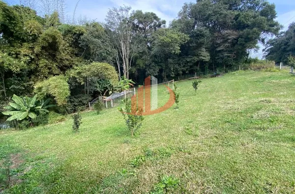 CHÁCARA COM 13.000m² À VENDA EM PATO BRANCO/PR - Foto 17