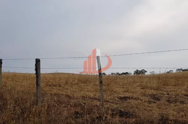 FAZENDA 200 ALQUEIRES REGIÃO SUDOESTE DO PARANÁ - Foto 47