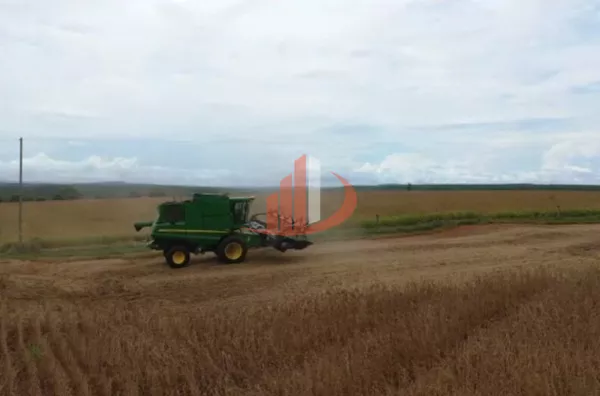 FAZENDA NO ESTADO DO TOCANTINS - Foto 14
