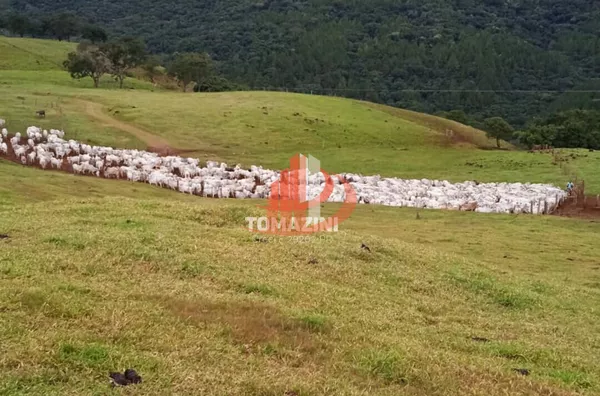 Imóveis rurais para venda,  - Selecione - Bairro, Nova Laranjeiras