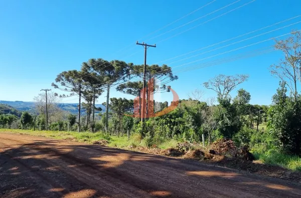 CHÁCARA COM 5 HECTARES PRÓXIMO A PATO BRANCO - Foto 3