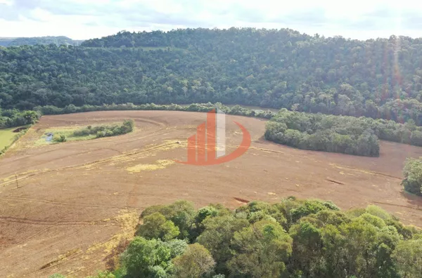 FAZENDA PRÓXIMA A PATO BRANCO PARA VENDA - Foto 21