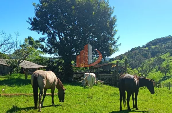 VENDE-SE FAZENDA A 24KM DE NOVA LARANJEIRAS! - Foto 7