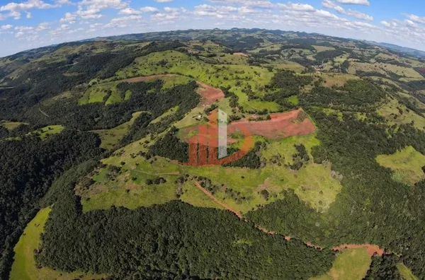 FAZENDA COM 200 ALQUEIRES - Foto 8