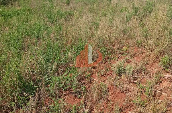 CHÁCARA AS MARGENS DA BR 158 EM PATO BRANCO/PR - Foto 3