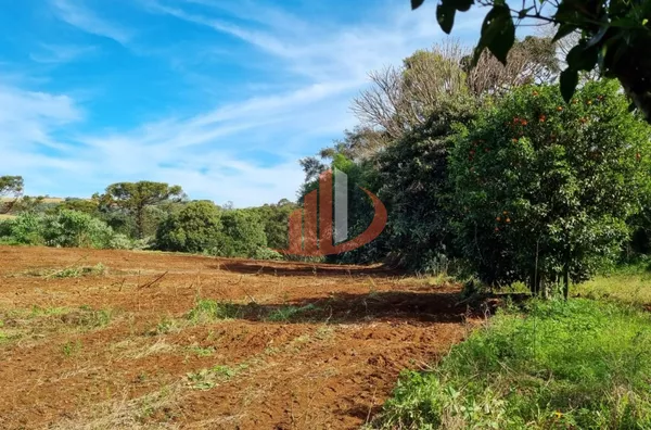 CHÁCARA COM 20 MIL m² Á VENDA EM PATO BRANCO/PR - Foto 19