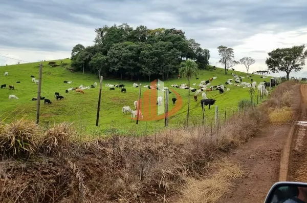 FAZENDA COM DUPLA APTIDÃO, 210 ALQUEIRES, REGIÃO CENTRO SUL DO PARANÁ - Foto 21