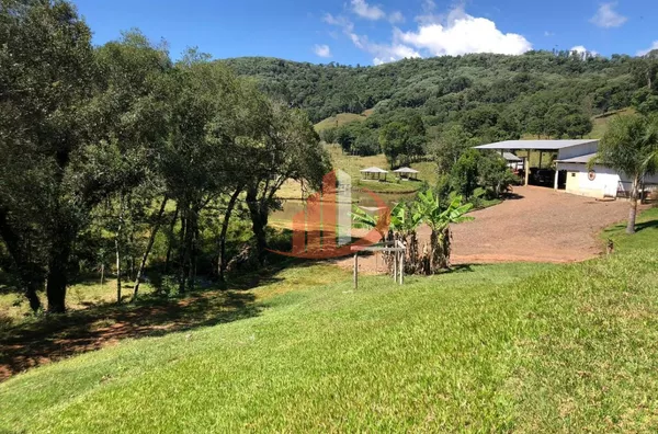FAZENDA COM 33 ALQUEIRES NO INTERIOR DO PARANÁ - Foto 3