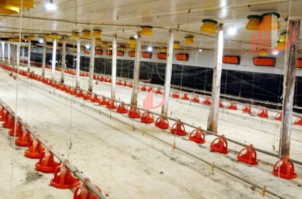 Aviário para venda,  - Selecione - Bairro, Pato Branco