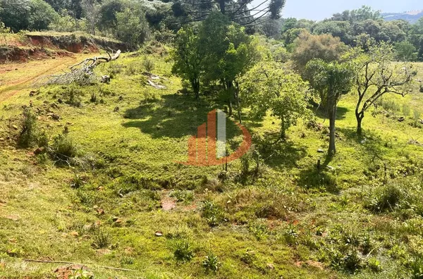 CHÁCARA COM 2,5 ALQUEIRES À VENDA EM VITORINO/PR - Foto 20
