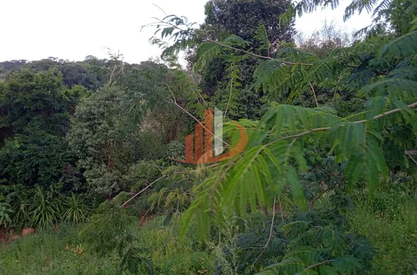 CHÁCARA COM 6751m² EM BOM SUCESSO DO SUL/PR - Foto 11