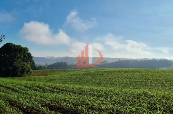 FAZENDA PRA VENDA NO SUDOESTE DO PARANÁ - Foto 2