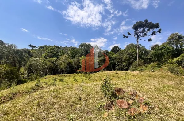 CHÁCARA COM 2,5 ALQUEIRES À VENDA EM VITORINO/PR - Foto 15