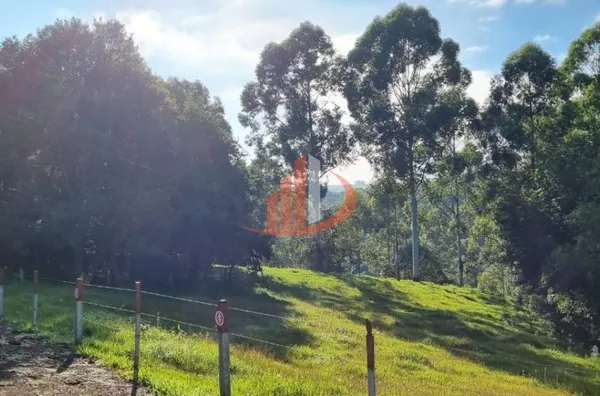 FAZENDA PRA VENDA NO SUDOESTE DO PARANÁ - Foto 9