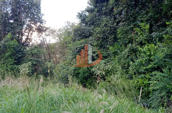 CHÁCARA COM 6751m² EM BOM SUCESSO DO SUL/PR - Foto 12
