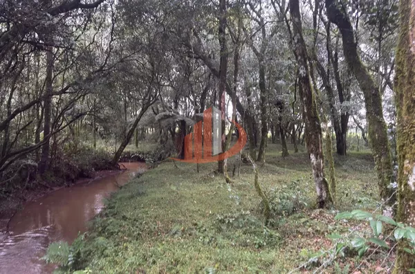 CHÁCARA COM 3000m² EM MARIÓPOLIS/PR - Foto 11