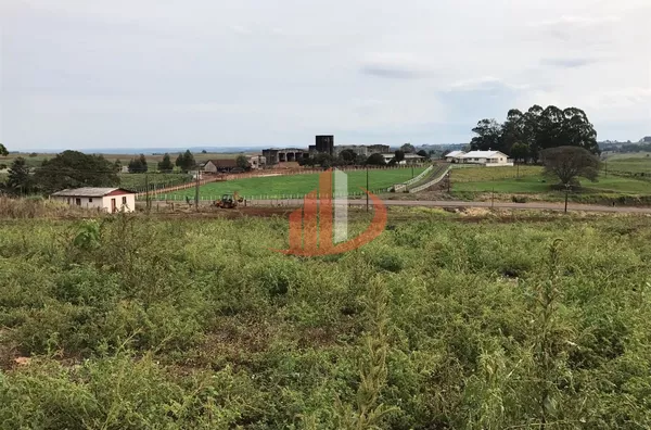 FAZENDA COM 1.234,62 HECTARES DE ALTA RENTABILIDADE! - Foto 18