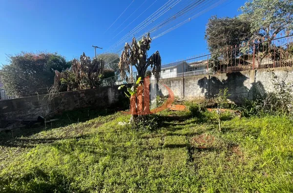 CARA PRA VENDA BAIRRO NOVO HORIZONTE EM PATO BRANCO/PR - Foto 11