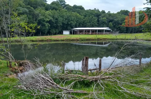 FAZENDA COM 24 ALQUEIRES EM PATO BRANCO/PR