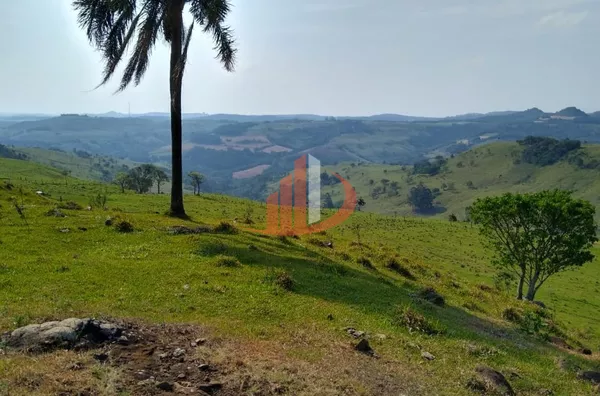 Fazenda para Venda em Campo Erê / SC no bairro Zona Rural - Foto 17