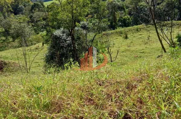 CHÁCARA COM 2,5 ALQUEIRES À VENDA EM VITORINO/PR - Foto 36