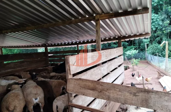 VENDE-SE CHÁCARA NA CIDADE DE PATO BRANCO! - Foto 13