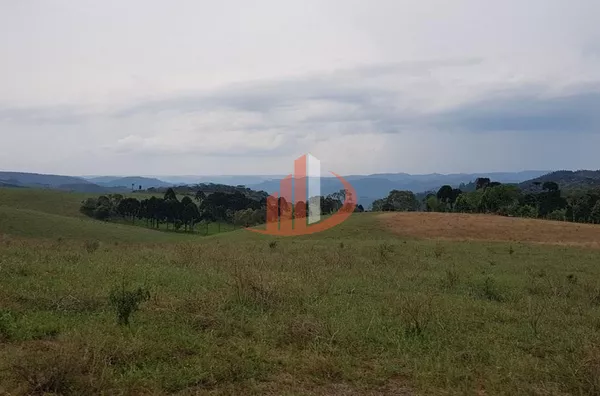 FAZENDA COM 203,5 ALQUEIRES À VENDA NO SUDOESTE DO PARANÁ. - Foto 26