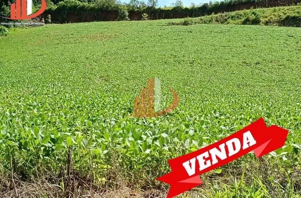 FAZENDINHA A VENDA PRÓXIMA A PATO BRANCO/PR - Foto 1