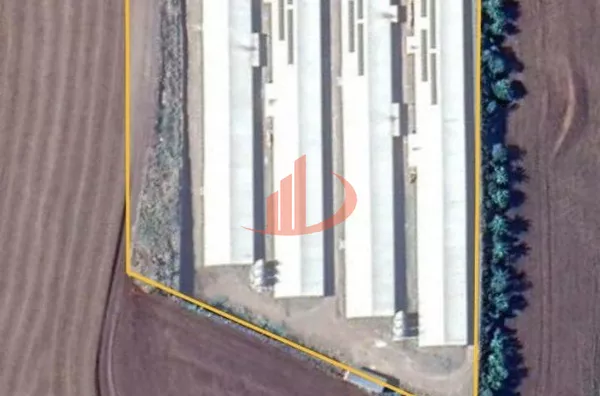 AVIÁRIOS PARA VENDA NA REGIÃO SUDOESTE DO PARANÁ - Foto 6