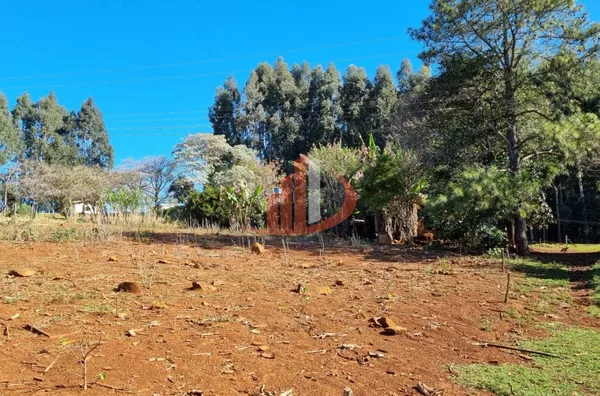 CHÁCARA COM 5 HECTARES PRÓXIMO A PATO BRANCO - Foto 24