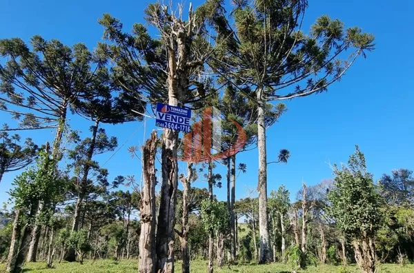CHÁCARA COM 5 HECTARES PRÓXIMO A PATO BRANCO - Foto 26